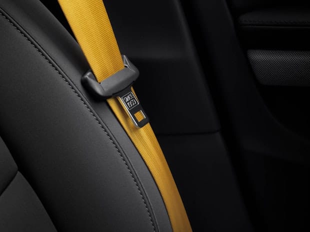 Details of golden seatbelt